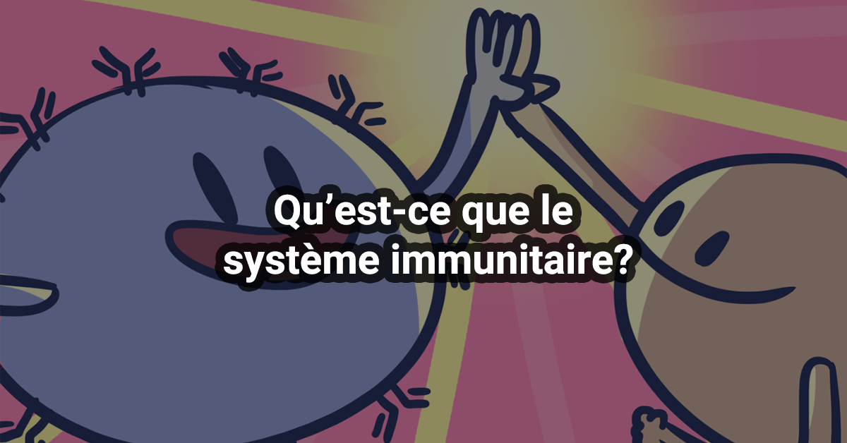 Qu’est-ce que le système immunitaire?