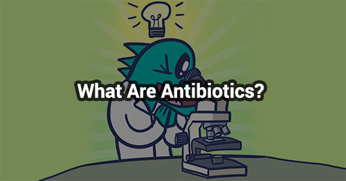 What Are Antibiotics & How Do They Work?