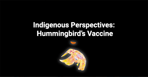 Indigenous Perspectives: Hummingbird's Vaccine