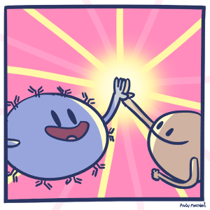 A cartoon of two immune system cells giving a high five.