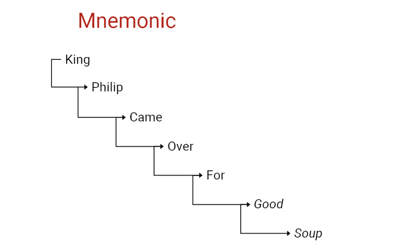 Classification Of Living Things Taxonomy Kids Boost Immunity