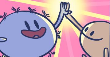 A cartoon of two immune system cells giving a high five.